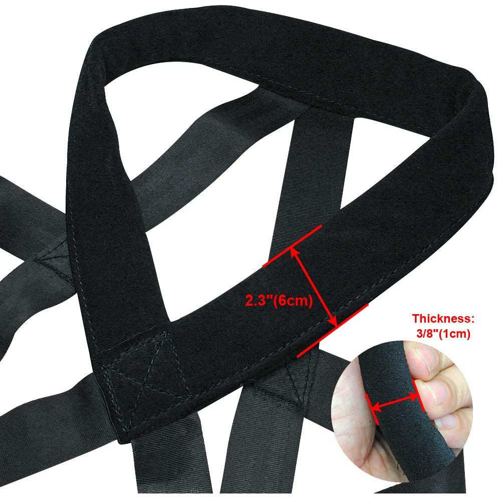 Dog training supplies Dog supplies Leashes Chest straps