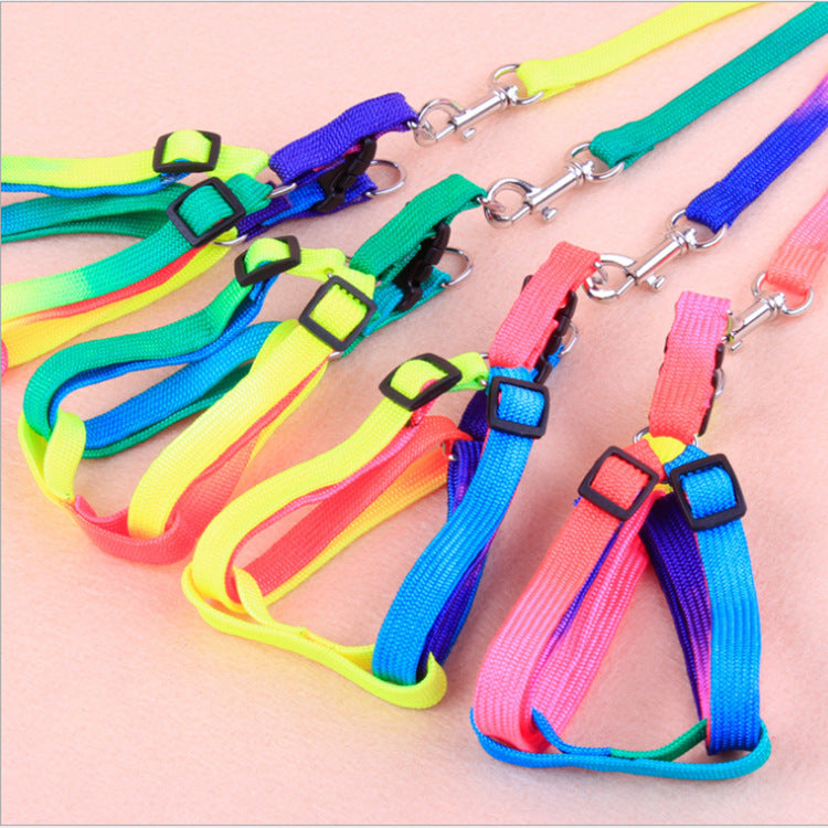 Leashes colorful leashes