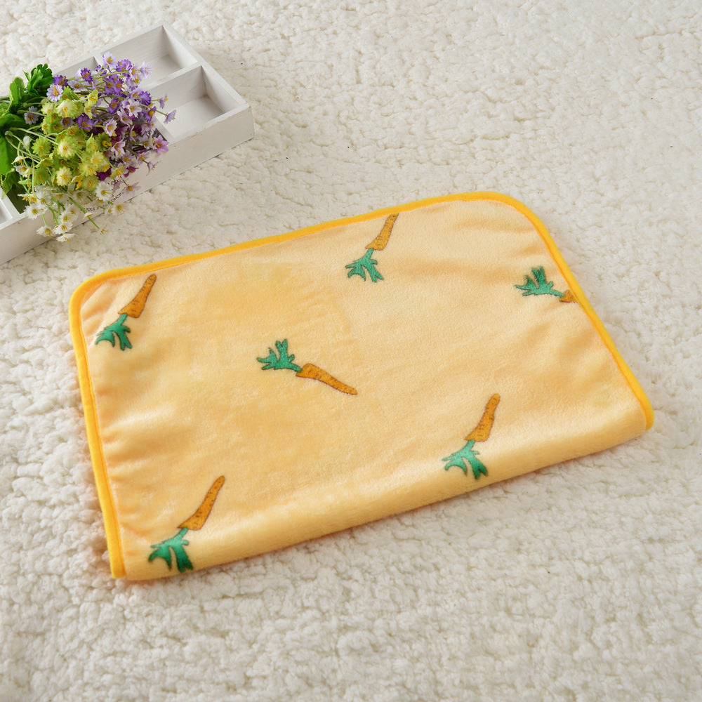 Dog Kennel Coral Fleece Blanket