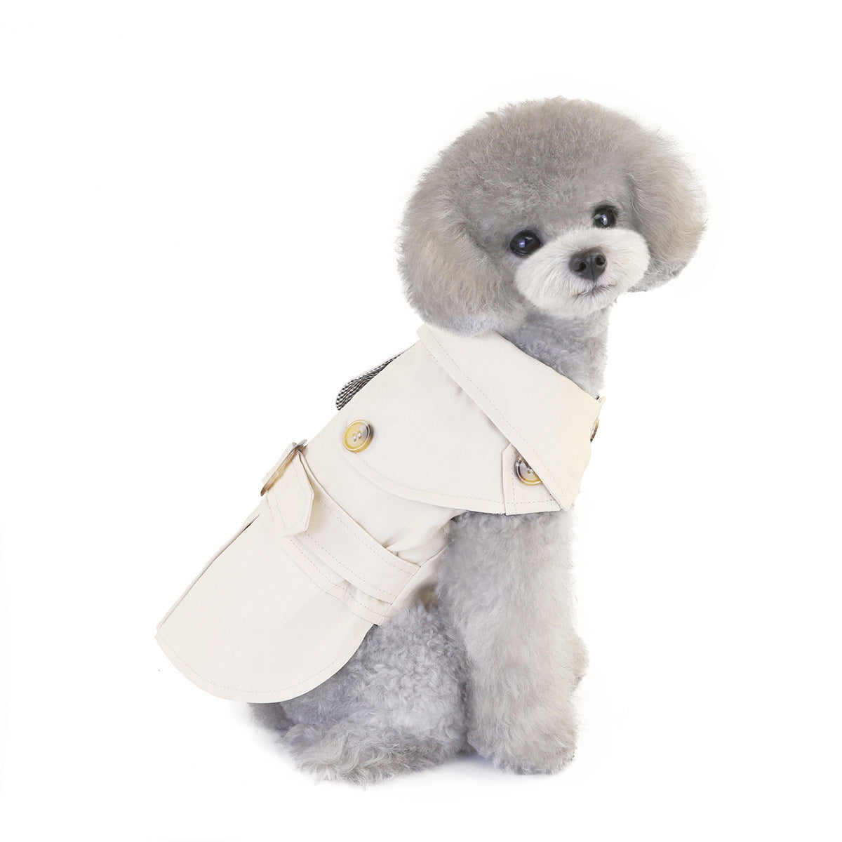 Trendy And Fashionable Dog Clothing And Clothing