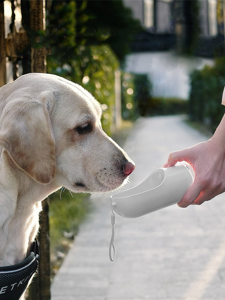 Outdoor Drinking And Feeding Cattle Dog Fountain Supplies