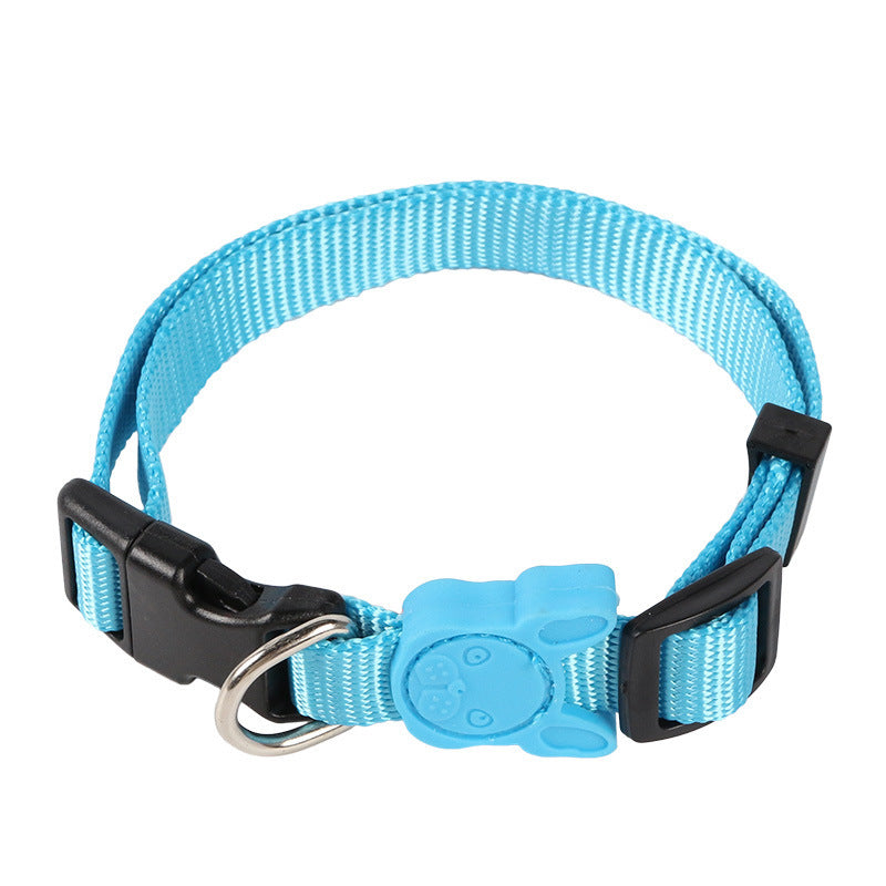 Large and Small Collars With Retractable Dog Leash