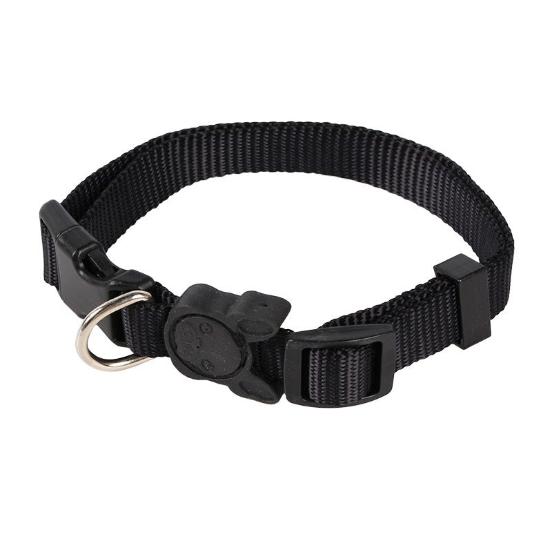 Large and Small Collars With Retractable Dog Leash