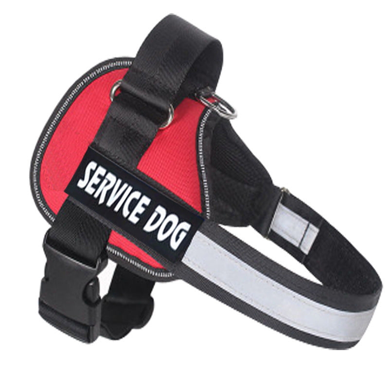 Labrador dog harness leash