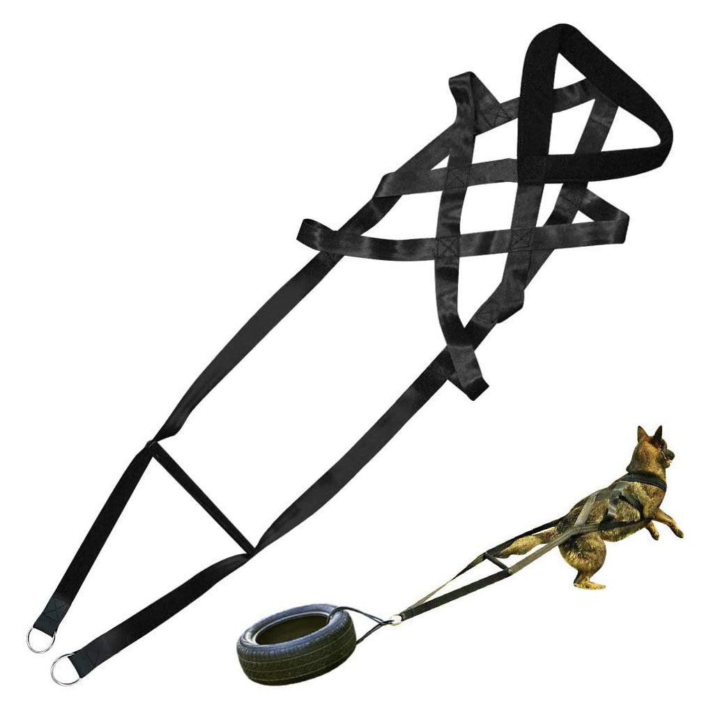 Dog training supplies Dog supplies Leashes Chest straps