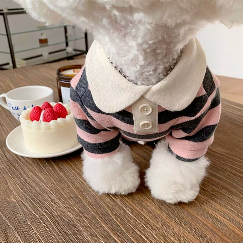 Pomeranian Poodle Small Dog Cat Dog Clothing