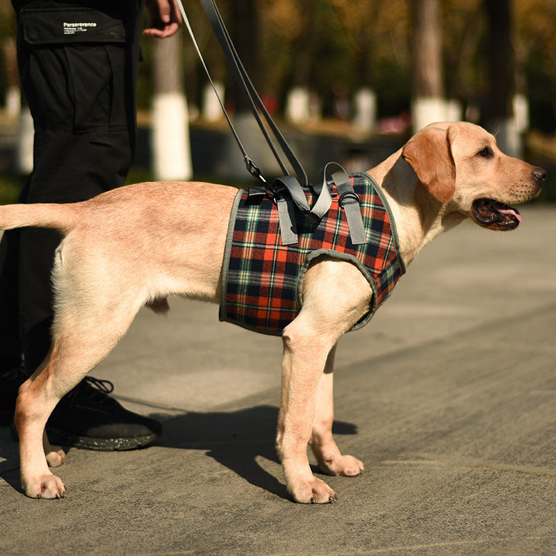 Fashion Personality High Aged Dog Accessory Belt