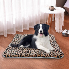 Blanket dog mat