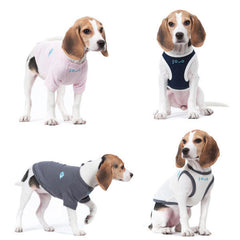 Pet Clothing Dog Vest Two-legged Clothing