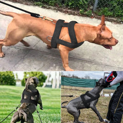 Dog Weight Pulling Harness Soft Padded Dogs Harnesses Pitbul