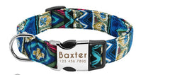 Dog Pet Supplies Collars Glow At Night