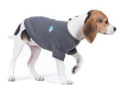 Pet Clothing Dog Vest Two-legged Clothing